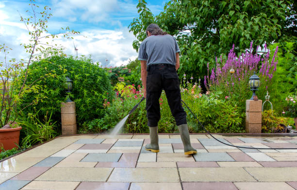 Best Sidewalk and Walkway Cleaning  in Northview, MI